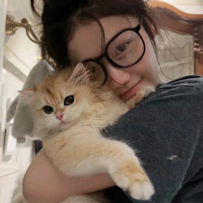 缉拿杨枪枪